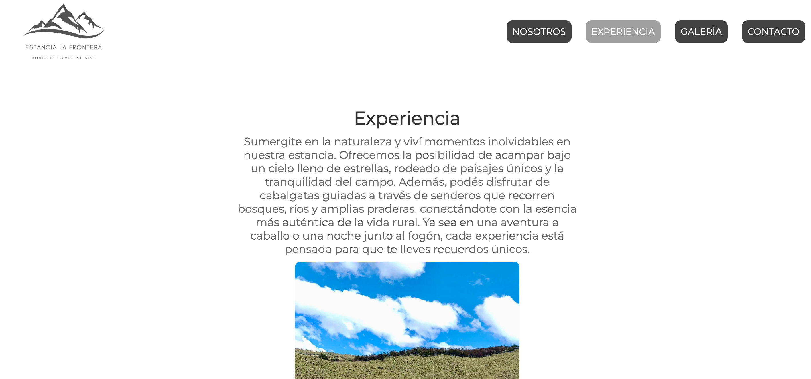 Imagen 5